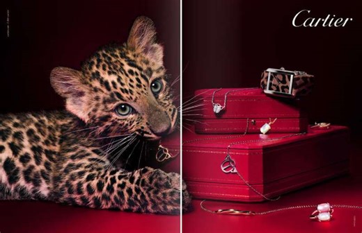 Cartier Ads: Exquisite Timepieces and Fine Jewelry
