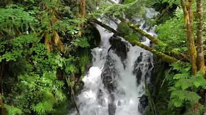 Have you visited a National Forest lately? Here's a scenic look from a recent hike in the Gifford Pinchot National Forest- U.S. Forest Service. This year we're celebrating 60 million trees planted throughout our nation's forests! Want to see where? Check here: https://www.arborday.org/programs/replanting/ Want to help plant more? Go here: bit.ly/replanttrees | Arbor Day Foundation