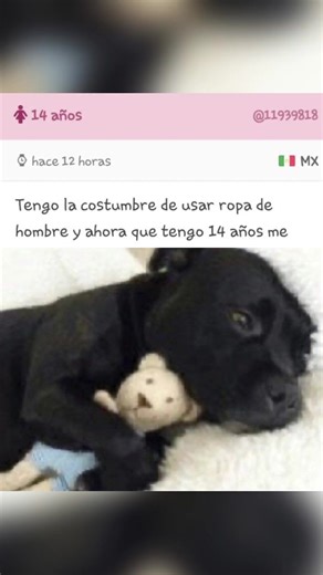 Campeón? 🤨 #videoviralシ #cheems #history