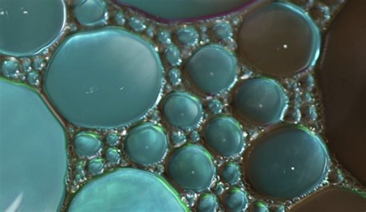 Serotonin-Generating Gut Microbes are ID'ed, May Aid IBS Treatment | Microbiology