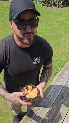 809K views · 22K reactions | Kina....Filipino style 璉 Im a fan  Would you give it a try? #seafoodmukbang #Kina #Seaurchin #Swaki #seafood | Kai Down Under | Facebook