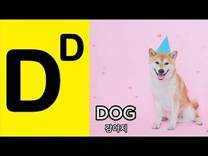 알파벳 "D"로 시작하는 단어는? 유아와 어린이를 위한 재미있게 따라하며 배우는 ABC 단어 공부 l ABC alphabet study with sounds for childre