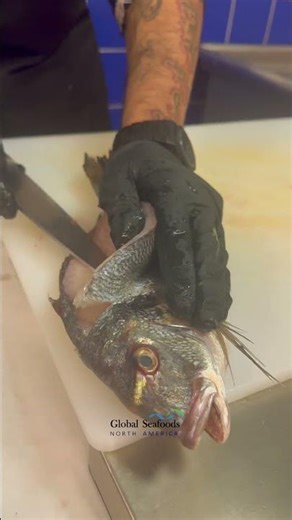 How to Fillet Fresh Sea Bream for Sashimi | Professional Knife Technique