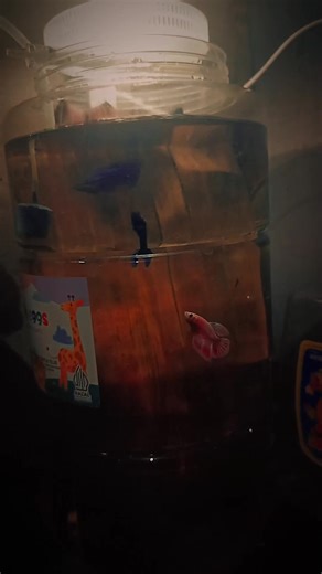 4di$⭕"[SW]" on TikTok