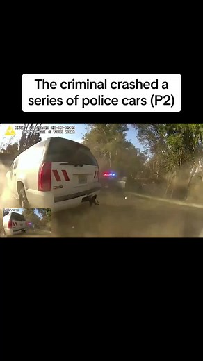 Cops Activity on TikTok