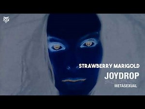 Joydrop - Strawberry Marigold