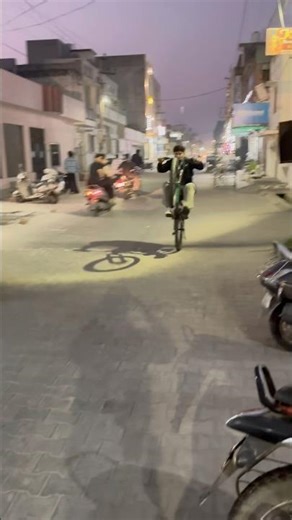 The Most HILARIOUS Manual Wheelie Fails