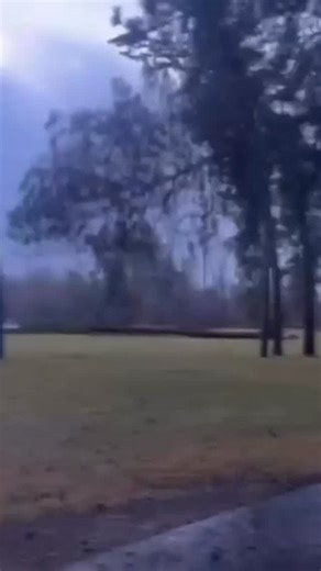 Caught The Fire Bug on Instagram: "🚨 WIND EVENT IMPACT – MONTANA 🚨 Wild footage out of Hamilton, Montana shows trees tumbling over as a powerful windstorm moved through the area overnight. Wind gusts reportedly reached 65+ mph, causing widespread damage. Thankfully, no injuries have been reported in this incident. Over the past 72 hours, strong winds have contributed to power outages across multiple states, including: • Washington • Oregon • Idaho • Montana • Wyoming • Colorado These events hi