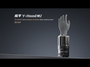 Y-Hand M2 The World’s Highest-Degrees-of-Freedom Bionic Dexterous Hand