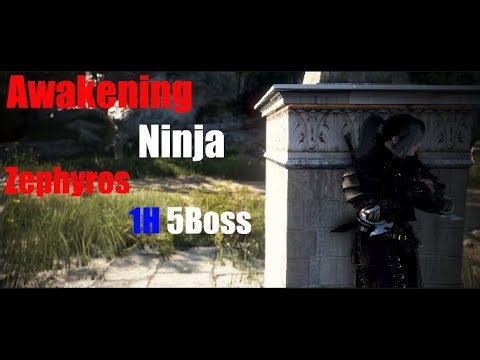[BDO] Ninja Awakening Zephyros 1h 5Boss