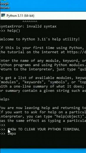 How to clear python terminal