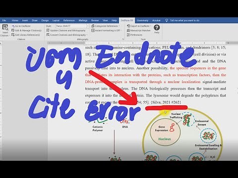 Endnote Error citation