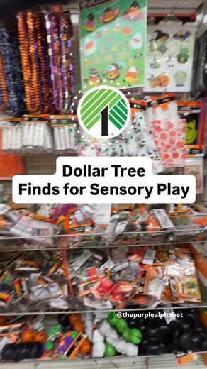 Dollar Tree sensory finds for Halloween sensory bins. Great for budget friendly sensory play. #sensoryplay #dollartreefinds #kidsactivities #handsonlearning #diyactivitiesforkids #preschoolactivities #kindergartenfun #budgetfriendlyfinds #earlylearning #playbasedlearning #educationaltoys #sensorybinideas #teacherresources #therapisttools #ʟᴇᴀʀɴɪɴɢᴛʜʀᴏᴜɢʜᴘʟᴀʏ | The Purple Alphabet
