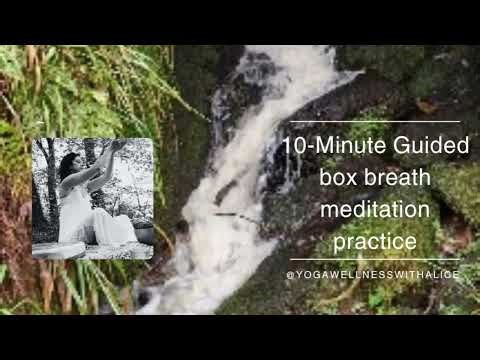 10 Min Guided Breathing meditation practice | Yoga Wellness with Alice