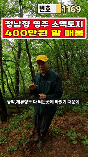 Gyeongbuk Rural Land Urgent Sale, Small Plot!! Mountain Village Forest Land Facing a Main Road!!