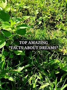 201K views · 3.5K reactions | Top amazing and weird facts about dreams #factsdaily | ViewMix Daily | Facebook