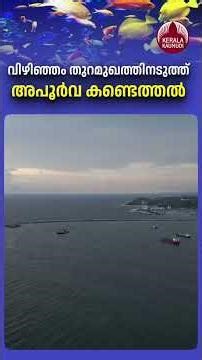 വിഴിഞ്ഞം തുറമുഖത്തിനടുത്ത് അപൂര്‍വ കണ്ടെത്തല്‍ #vizhinjam #habitat #colourfish