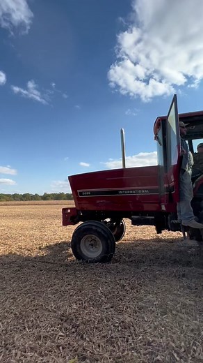 Keri Hamilton on TikTok