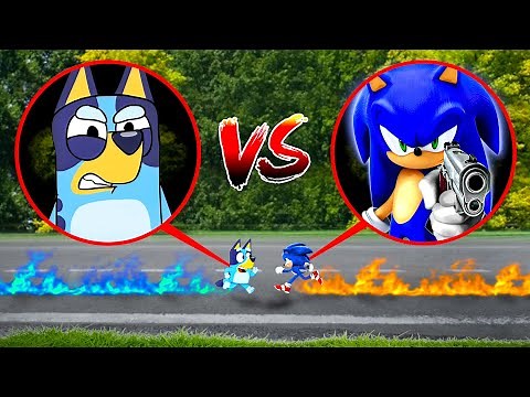 BLUEY FIGHTS SONIC THE HEDGEHOG IN REAL LIFE!!