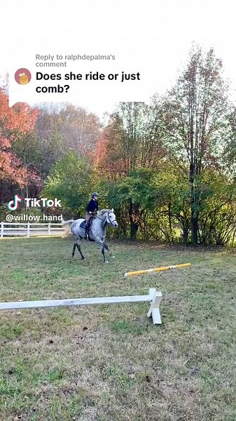 Replying to @ralphdepalma And I trained her myself too… #e#equestrianh#horsegirlh#horseh#horsesf#farmgirlh#horseriderf#fashionm#modelf#fypc#cutegirlf#fashionmodelv#vsv#vsfsp#prettygirlg#girlg#girls