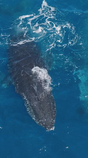 7K views · 30 reactions | Kulea and her new boyfriend gave us an...