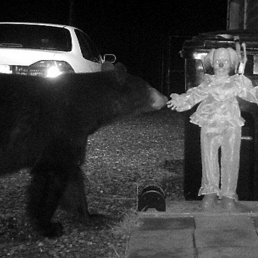 12M views · 10K reactions | Strange things happen at night!! | Try Not to Laugh | Facebook