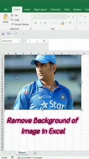 Remove Background of Picture in Excel #Microsoftexcel #msexcel #excel #msexceltips #exceltips #exceltraining #exceltutorial | Cyber Security And Tricks For Computer and Mobile