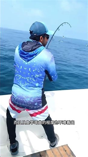 Bird Feeding Frenzy Fishing Secret Huge Tuna Catch in Seconds #shorts