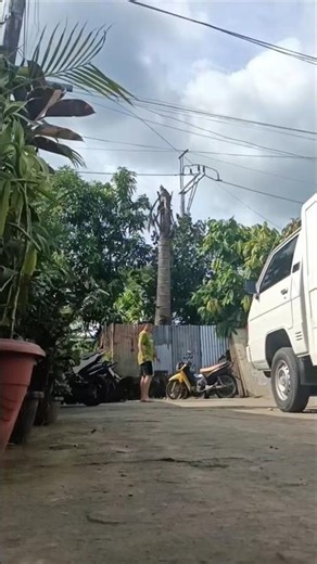 540 tricking combo #540kick #tricking #taekwondokick