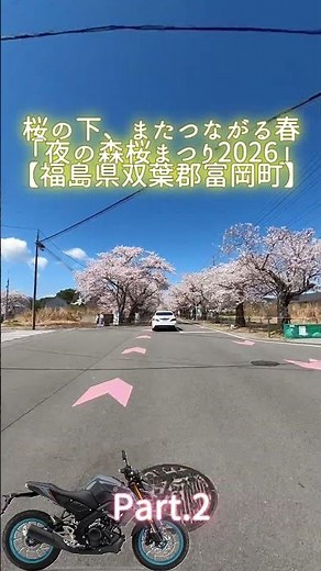 桜のトンネルをMT-125で走ってきた!!【福島県双葉郡富岡町】桜の下、またつながる春「夜の森桜まつり2026」Part.2 #Short #Shorts