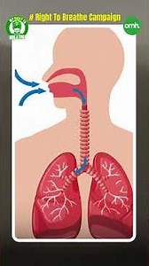 What Exactly Is PM 2.5 — And How Does It Enter Your Bloodstream I My Right To Breathe