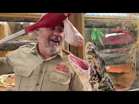 Zoo Feeding Frenzy 🍗 Gone INSANE 😲