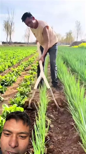 Kasto khal ko aaujar ho ???😱😱😱 #farmer #agriculture #nature #agritech #hardworking #agritech