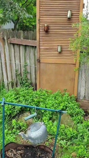 UPCYCLE GARDEN feature #zerowaste #goinggreen #sustainable #easydiy #gardening #cottagegarden #gardentok #upcycle #recycle #fyp #4u