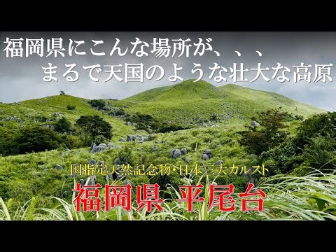 【福岡 絶景】まさに大自然！広大な草原に散財する純白の岩石 「平尾台カルスト」