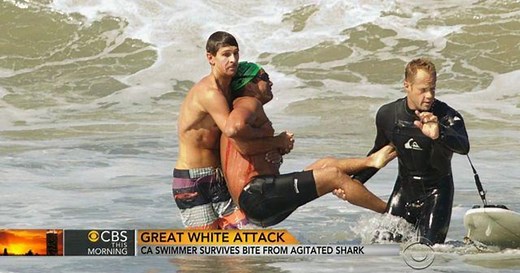 Great white shark attack: California swimmer survives bite