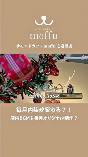 毎月内装が変わるサモエドカフェmoffu
