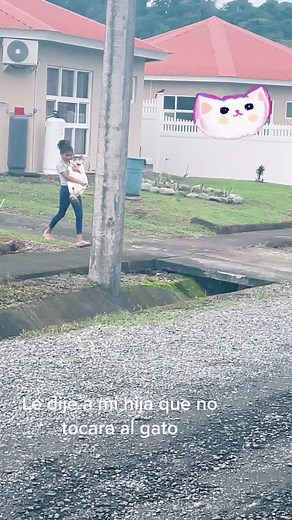 #gatos #cat #panama #michi #michis #catsoftiktok #cats #michisvirales #michislove #michisactores #michisgraciosos #gatosgraciosos #gatoscuriosos_ #gatostiktokers #karens