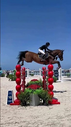 #horse #chevaux #equestrian #equitation #cso #competition #concours #amazing #incroyables