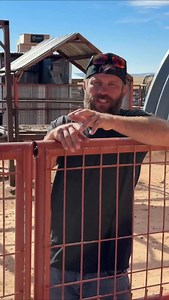 BRUNT on Instagram: "How to put a chicken to sleep with @cowboycerrone "