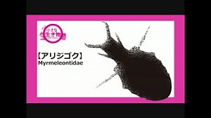 【小さな生き物】08　アリジゴク