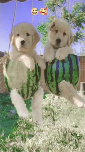 tecnalogia 🤣😂🤣#shorts #funny #cute #viral 😱