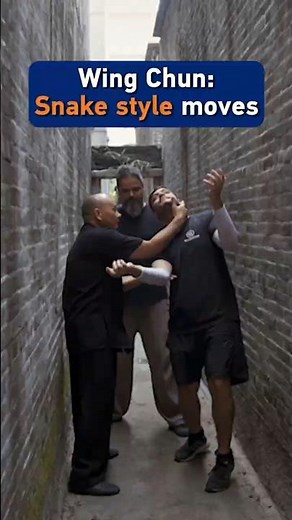 Wing Chun: Snake style moves #ChineseKungFu #MartialArts #WingChun #KungFu #Foshan #Guangdong