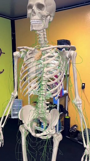 Understanding Cancer and the Impact on the Lymphatic System