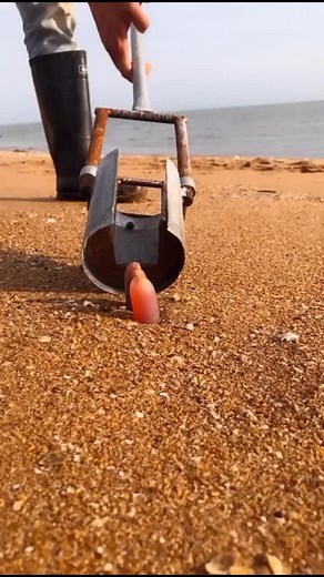 mingeve2020 (@zoeetree8)’s videos with original sound - mingeve2020