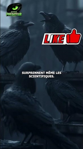 The Raven: the most intelligent animal in the world? #nature #birds #shorts