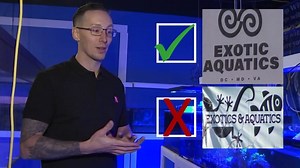 How a similar name is dragging a Virginia fish store into a Roanoke County viral video controversy