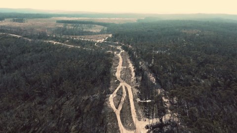 Through smoke and regrowth: Australia’s burned landscapes