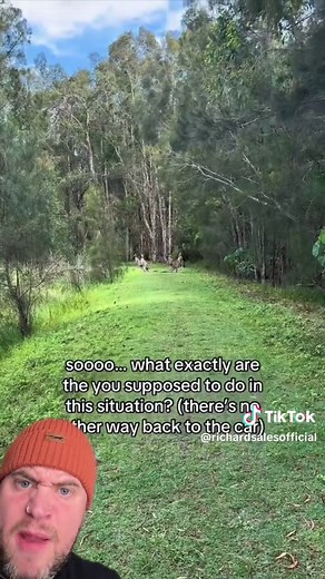 Experience a Day at an Australian Zoo