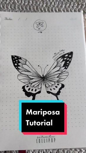 Aprende a dibujar mariposas: tutorial fácil y divertido